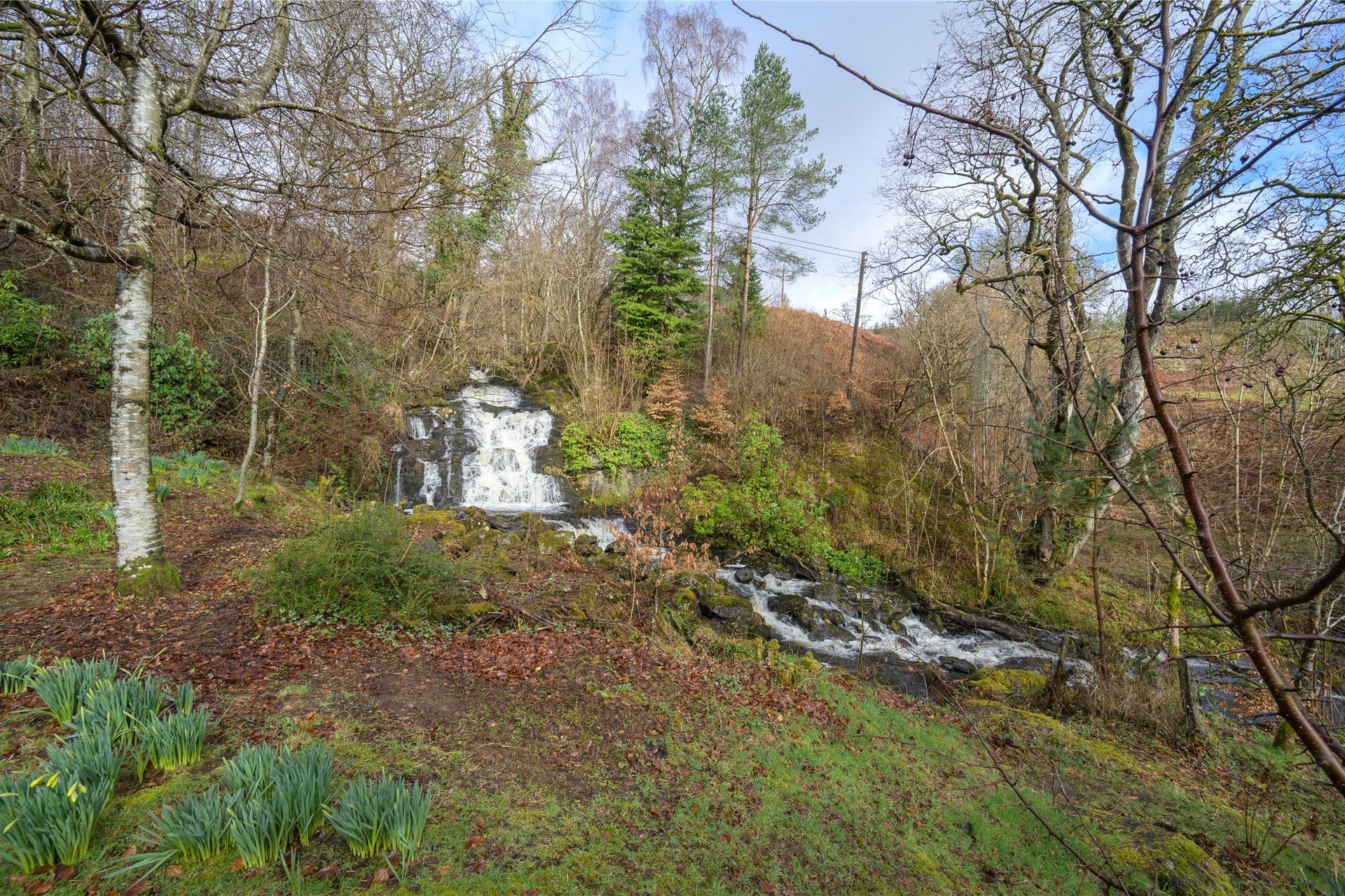 Creagan Cottage, Killin, Perth and Kinross, FK21 8TX - Picture #24