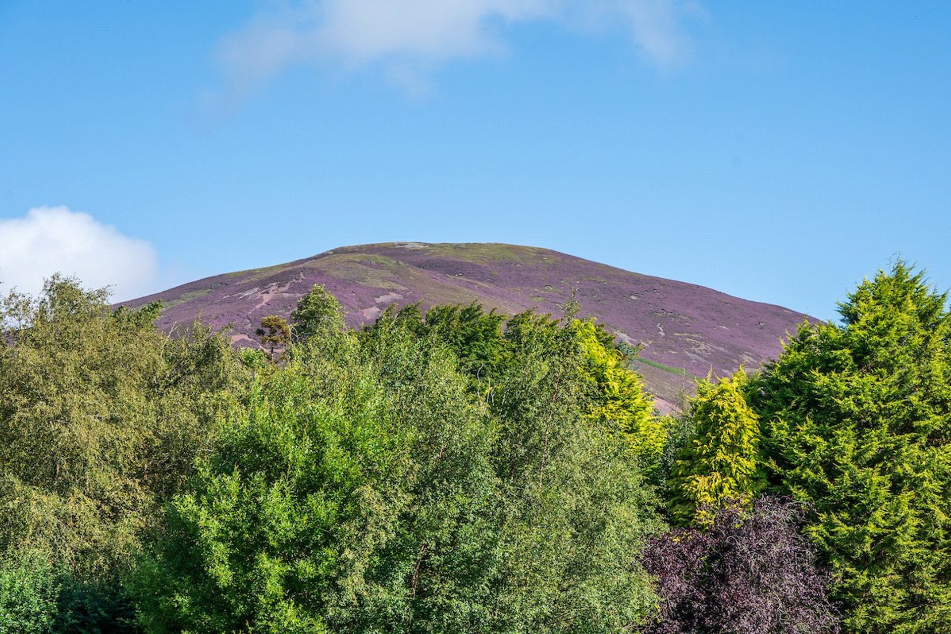 7 Hopelands Road, Silverburn, Penicuik, Midlothian, EH26 9LH - Picture #29