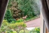 Woodend, Mousebank Road, Lanark, ML11 7TD - Picture #48
