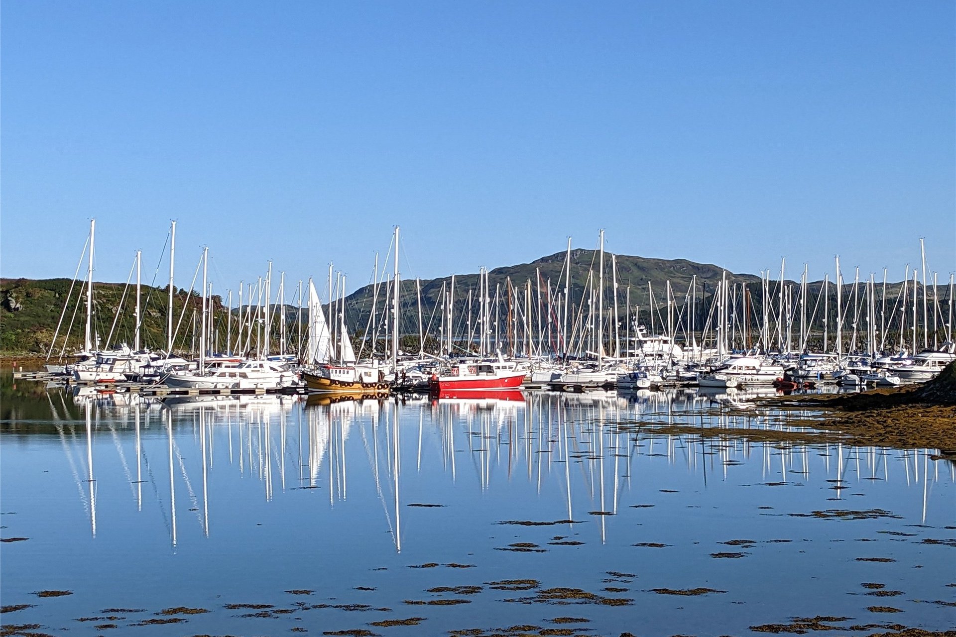 Leamhnachd, Craobh Haven, Lochgilphead, Argyll and Bute, PA31 8UA - Picture #44