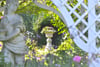 McLaren Wing, Tyninghame House, Dunbar, East Lothian, EH42 1XW - Picture #32