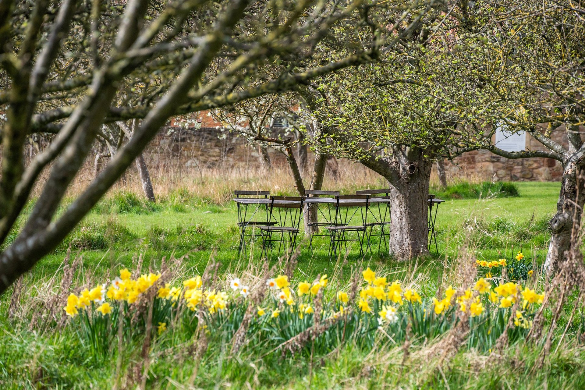 Bankton House South, Prestonpans, East Lothian, EH33 1NG - Picture #24