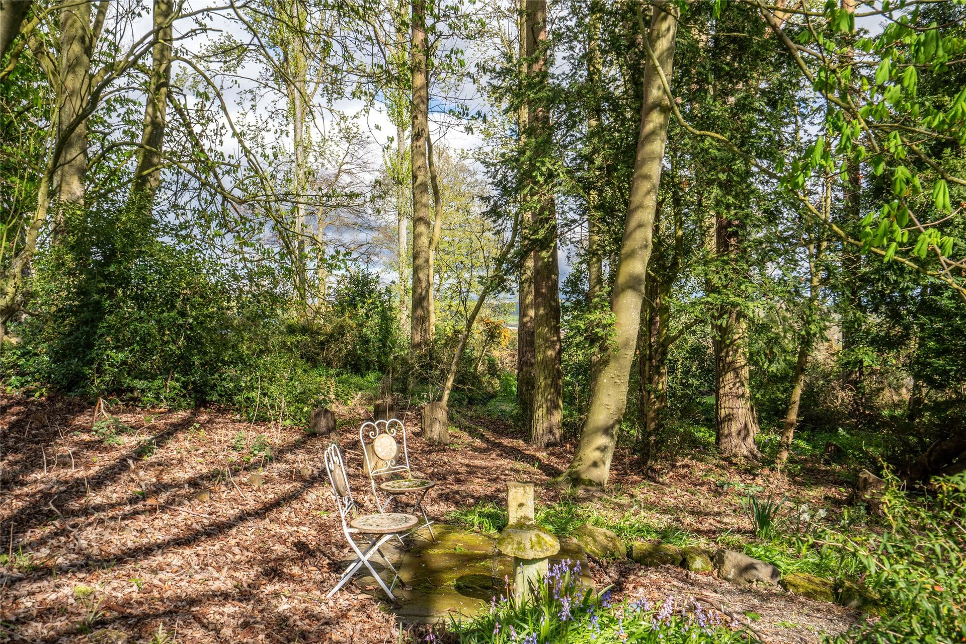 Hillside House, Cupar Road, Ceres, Cupar, Fife, KY15 5LP - Picture #39