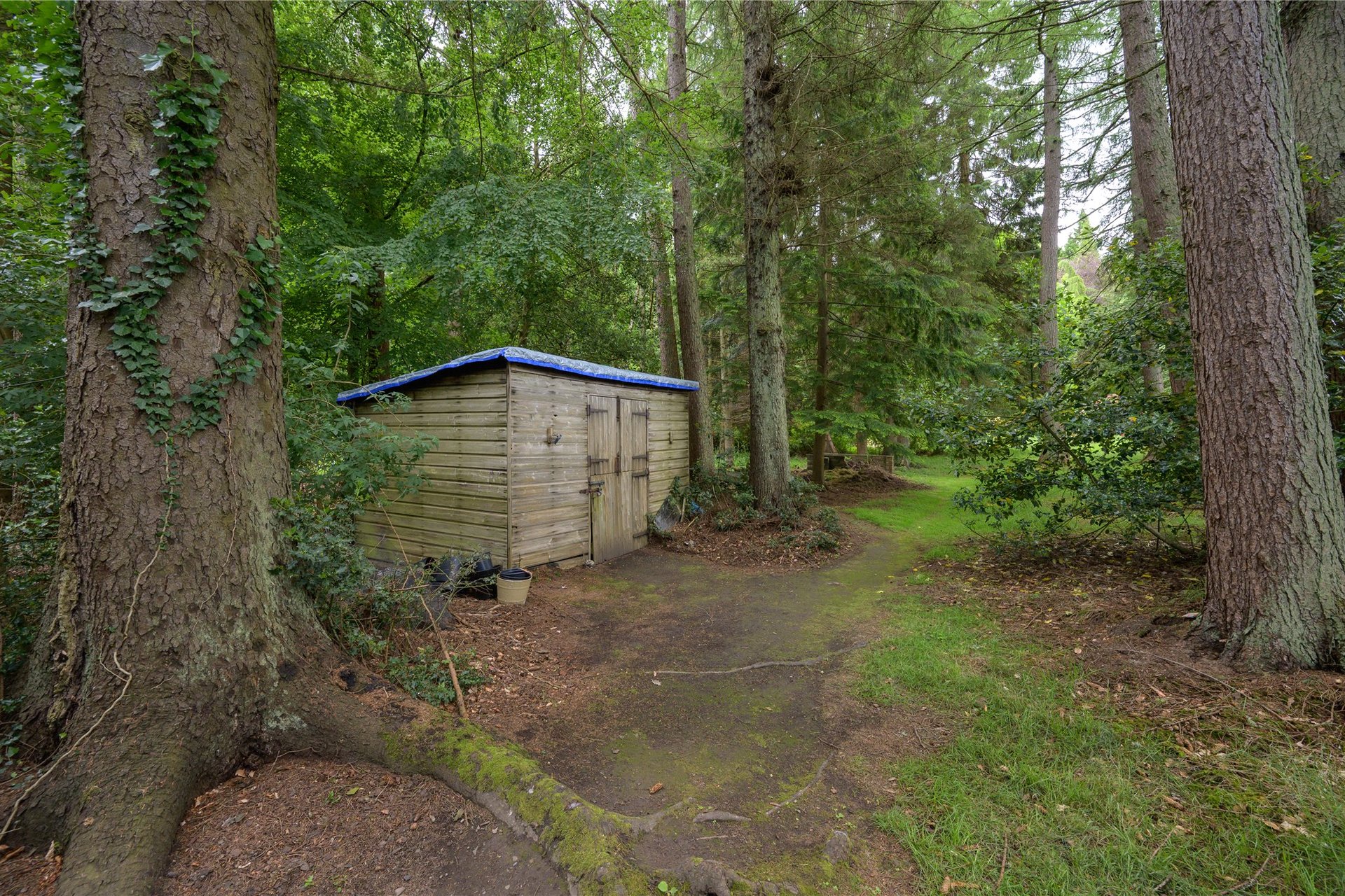 House On The Hill, Glen Road, Dunblane, Stirlingshire, FK15 0HR - Picture #27