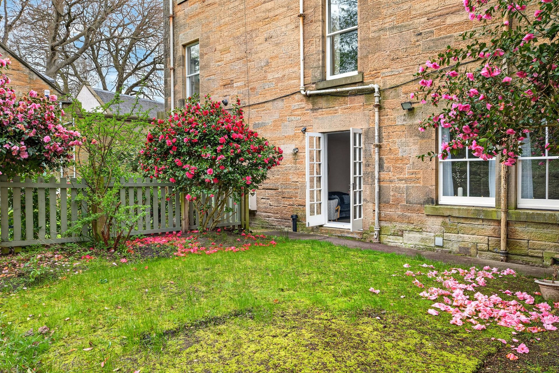 6C Oswald Road, The Grange, Edinburgh, EH9 2HF - Picture #28