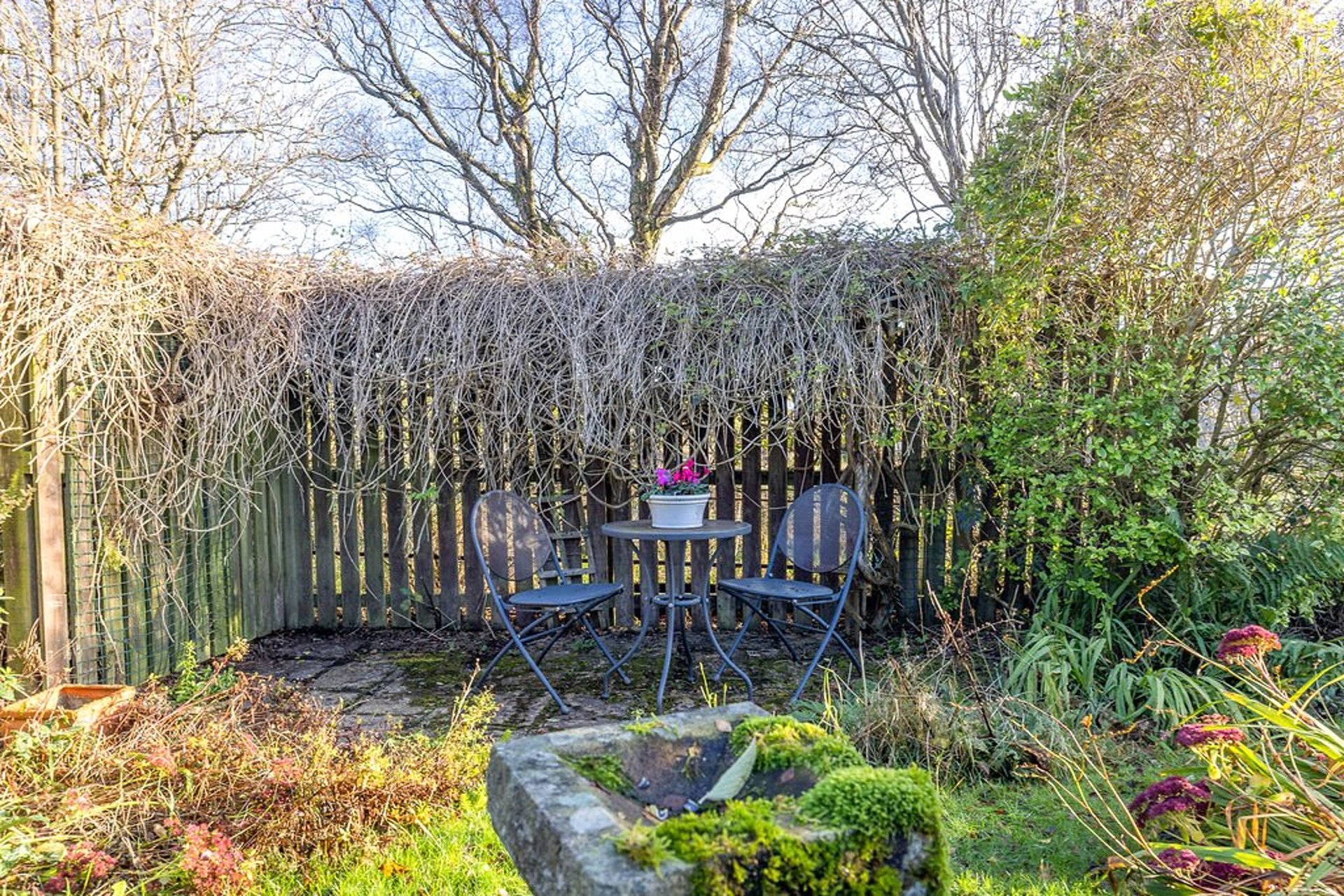 36 Roselea Drive, Milngavie, G62 8HF - Picture #24