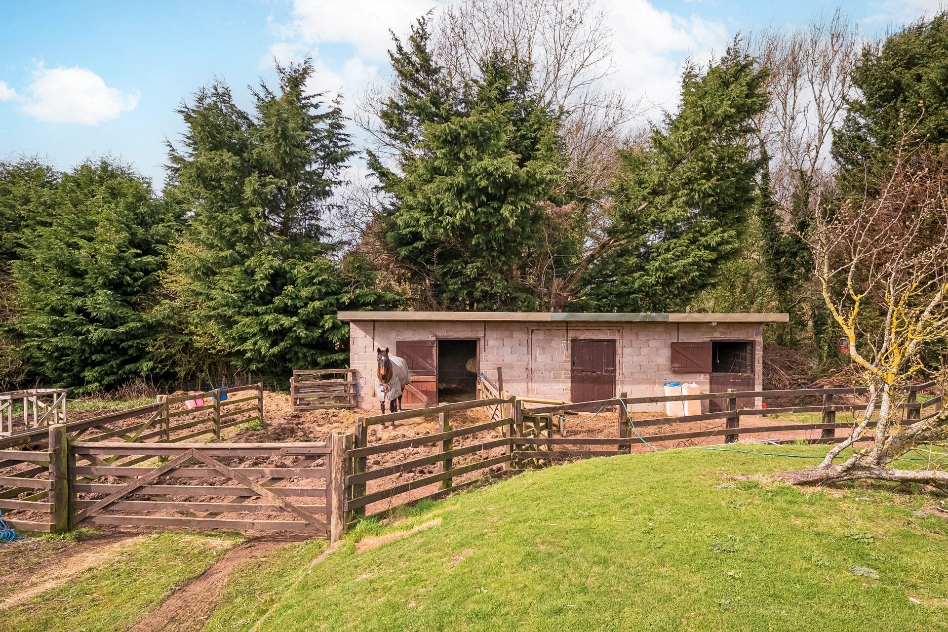 1 The Sidings, Station Gardens, Cornhill-on-Tweed, Northumberland, TD12 4TS - Picture #15