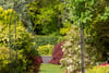 Glenwood, The Crescent, Dunblane, Stirlingshire, FK15 0DL - Picture #43