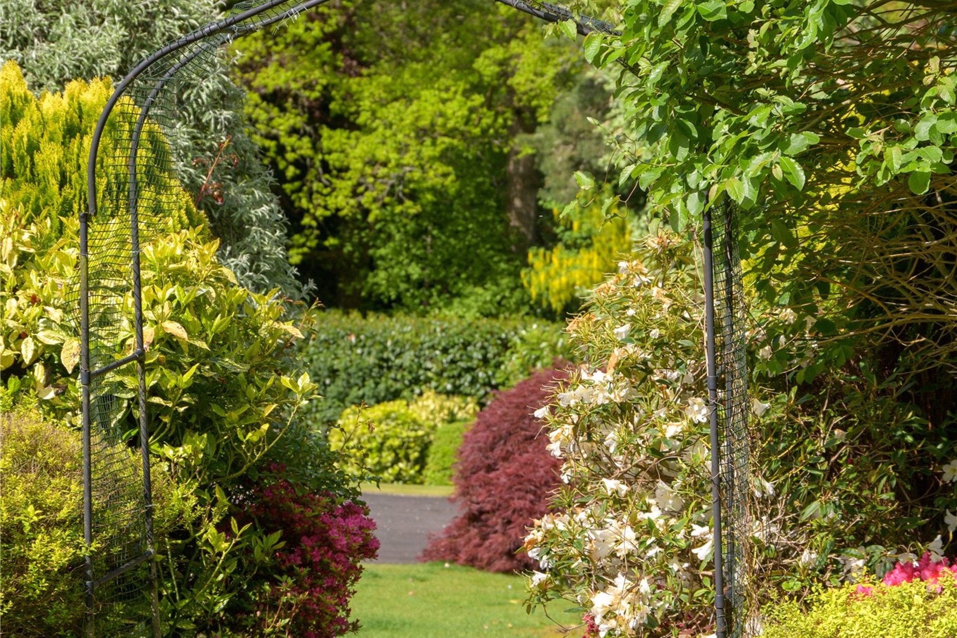 Glenwood, The Crescent, Dunblane, Stirlingshire, FK15 0DL - Picture #43