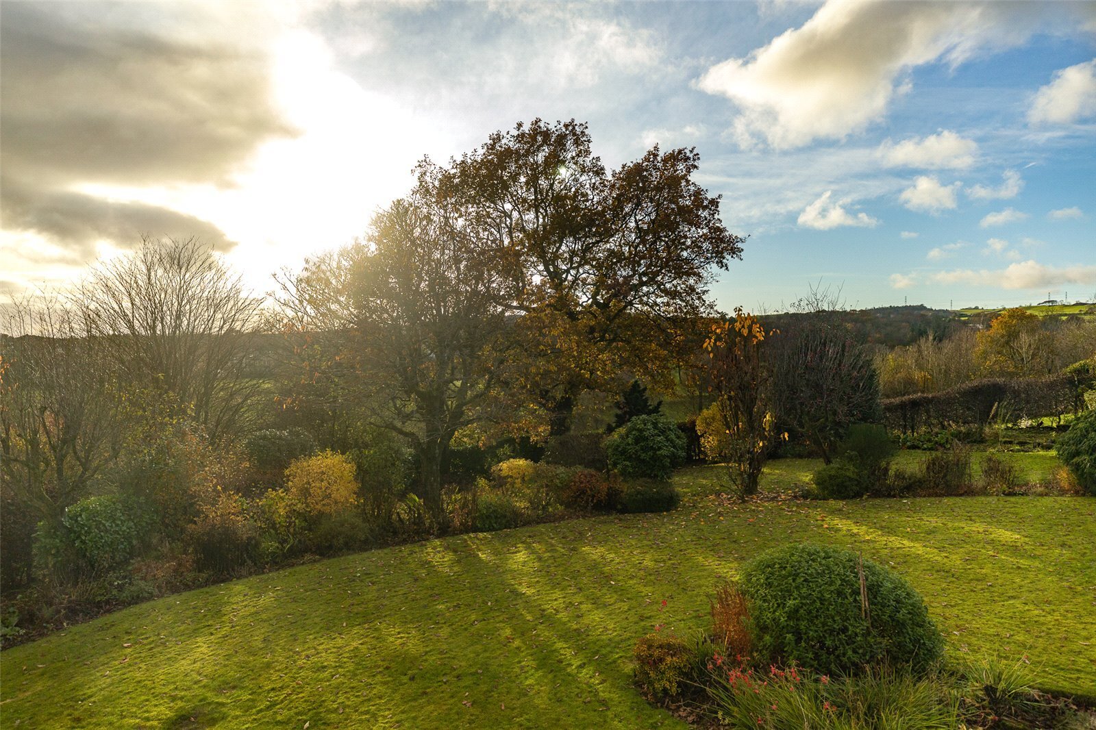 Blackwood Road - View