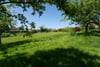Archwill House, Garvald, Haddington, East Lothian, EH41 4LN - Picture #23
