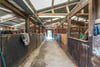 Grazing and Equestrian Facilities, The Bungalow, Baldastard, Leven, KY8 5PQ - Picture #15