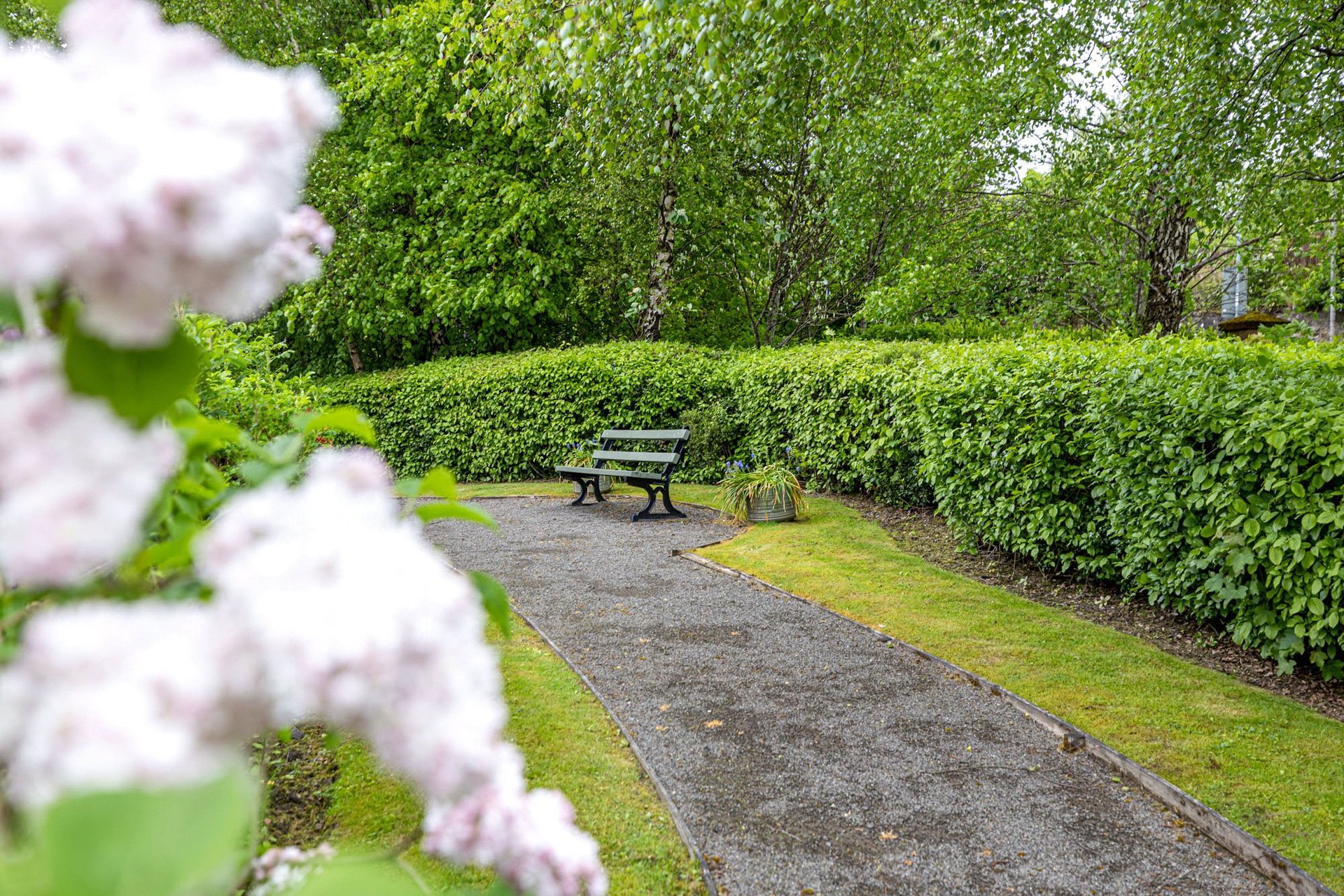 77 Ellangowan Court, Milngavie, G62 8PP - Picture #27