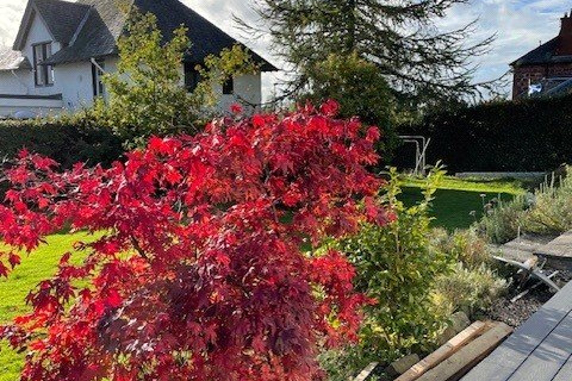 1 Main Street, Drymen, G63 0BP - Picture #40