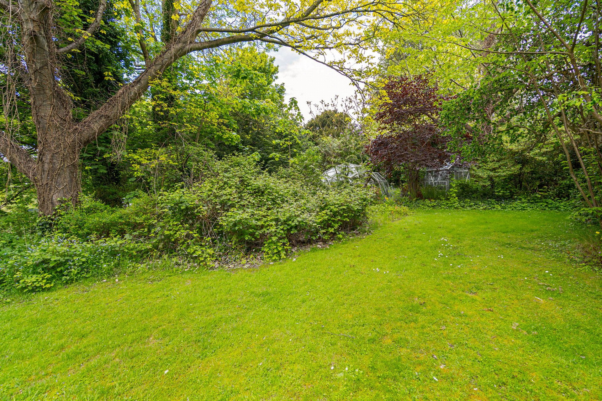 Priory Acres, 104A Hepburn Gardens, St. Andrews, Fife, KY16 9LT - Picture #37