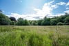 Drydenbank Nursery, 64 Polton Road, Loanhead, Midlothian, EH20 9DB - Picture #33