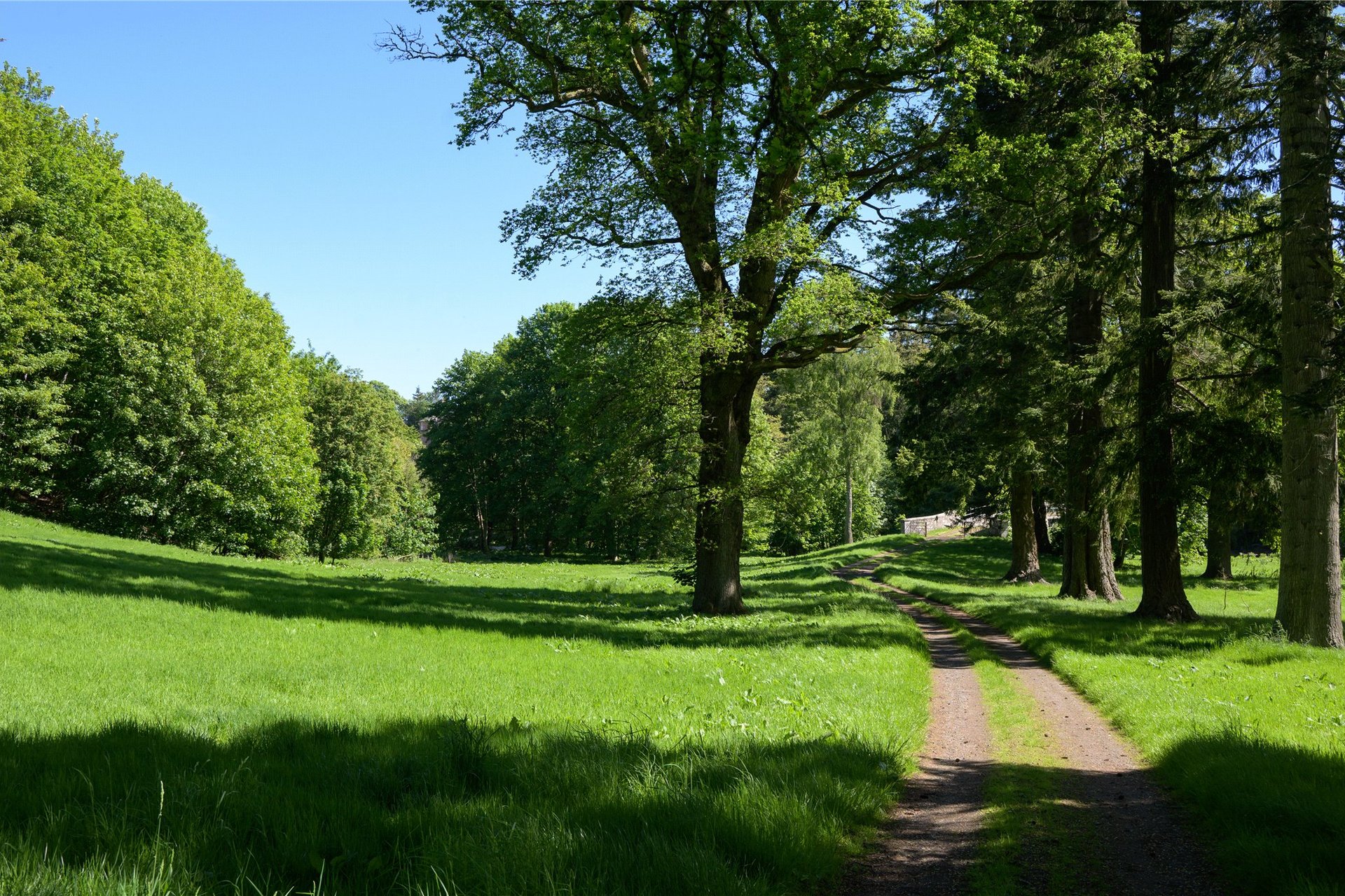 Brechin Castle, Brechin, Angus, DD9 6SG - Picture #29