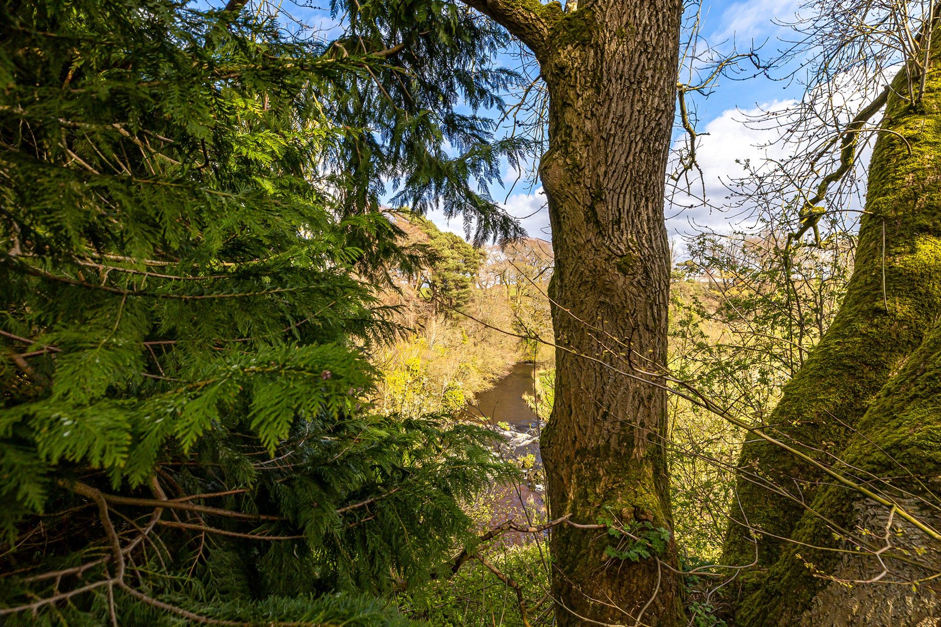 18 Riverside Road, Eaglesham, Glasgow, G76 0DF - Picture #44