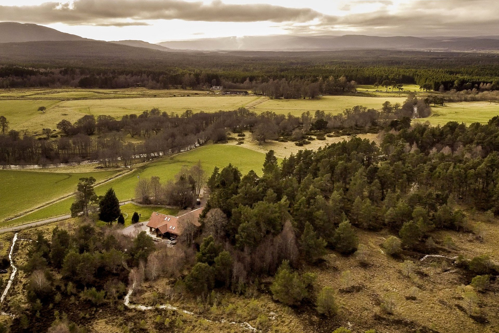Mountain Bear Lodge, Nethy Bridge, Inverness-Shire, PH25 3DY - Picture #44