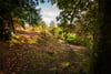 Ardchoile, Lochard Road, Aberfoyle, Stirling, Stirlingshire, FK8 3TD - Picture #45