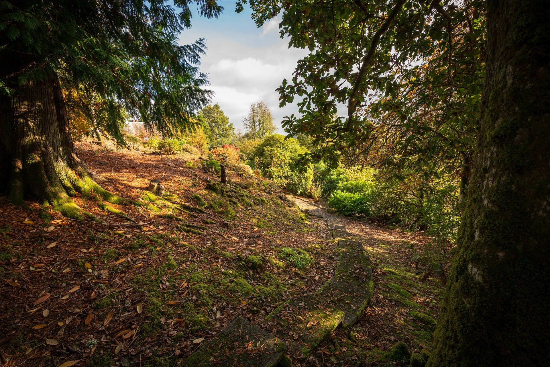 Ardchoile, Lochard Road, Aberfoyle, Stirling, Stirlingshire, FK8 3TD - Picture #45