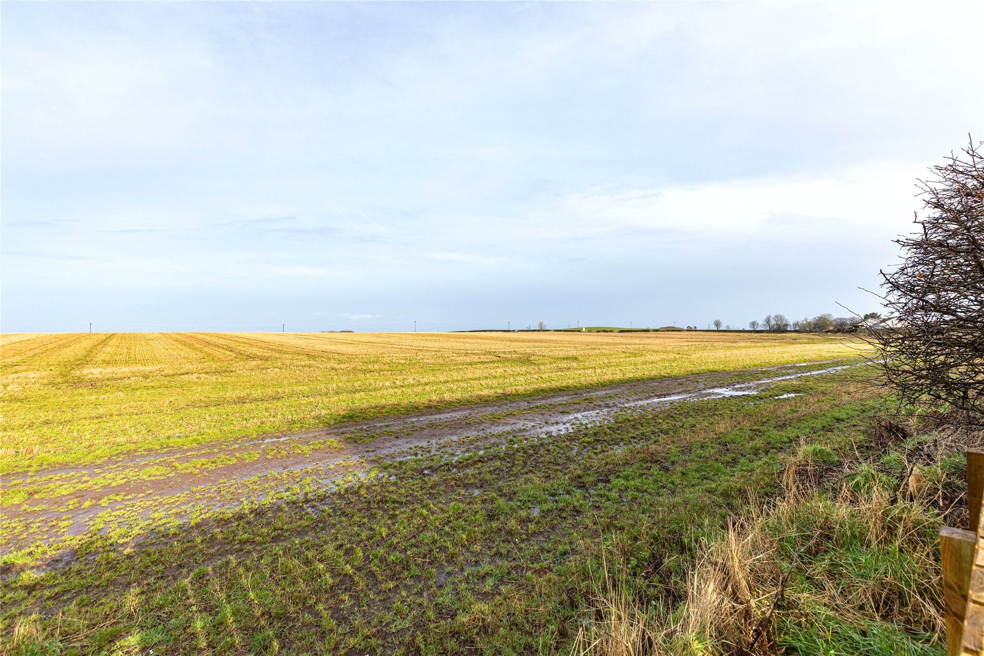 Fern Cottage, Main Street East End, Chirnside, Duns, TD11 3XX - Picture #16