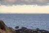 Redheugh, 13 Bayswell Park, Dunbar, East Lothian, EH42 1AE - Picture #10