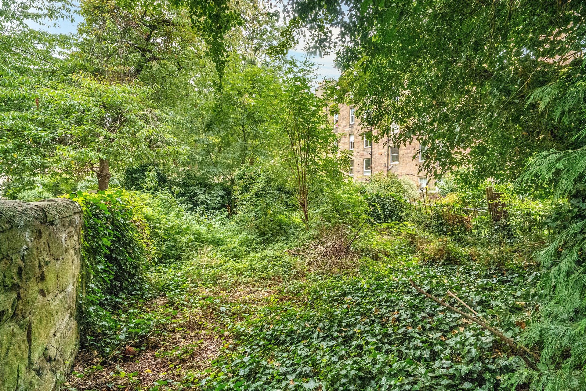 37(1f1), Warrender Park Road, Marchmont, Edinburgh, EH9 1HJ - Picture #18