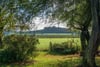 Glenarrol Farm, Ballencrieff, Longniddry, East Lothian, EH32 0PJ - Picture #22