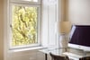 2/1, 13 Hayburn Crescent, Partickhill, Glasgow, G11 5AX - Picture #20