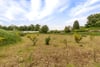 The Walled Garden Development Site, Tealing, Dundee, DD4 0QZ - Picture #6