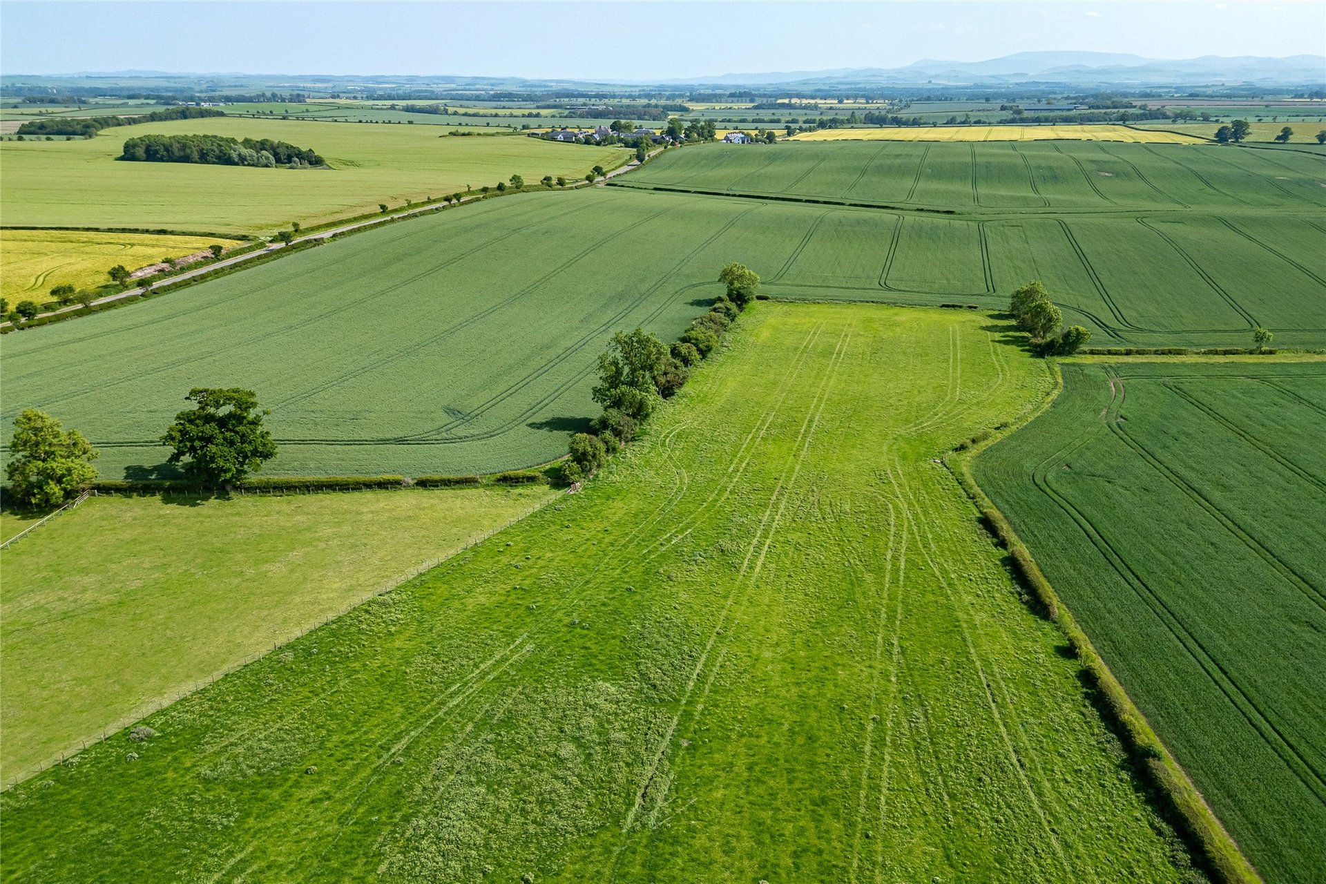Whitsome Lea, Whitsome, Duns, Berwickshire, TD11 3NG - Picture #21