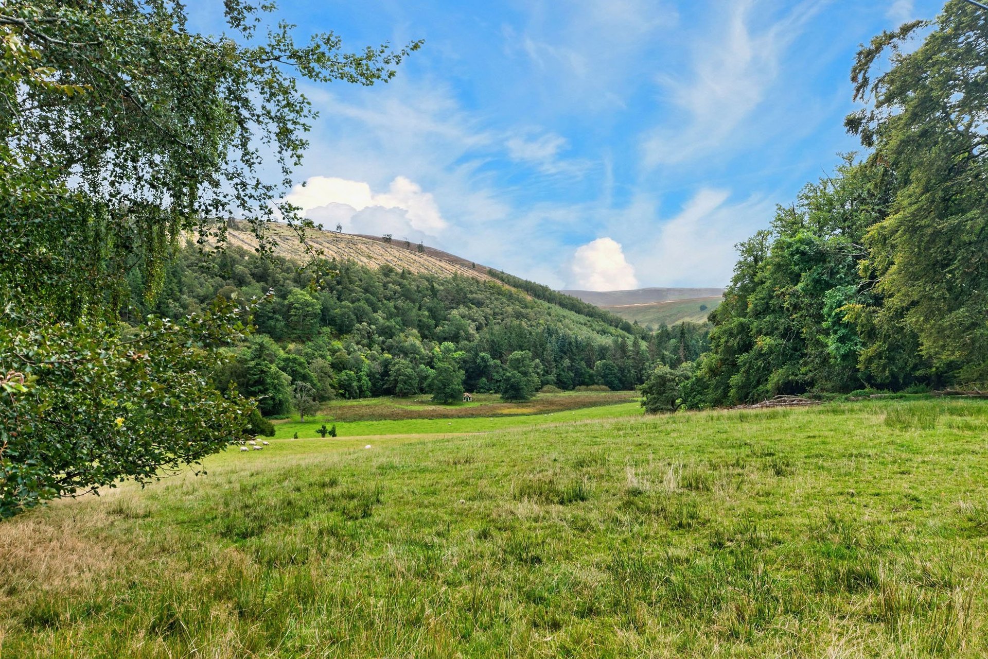 2 Fethan View, Innerleithen, Scottish Borders, EH44 6PX - Picture #23