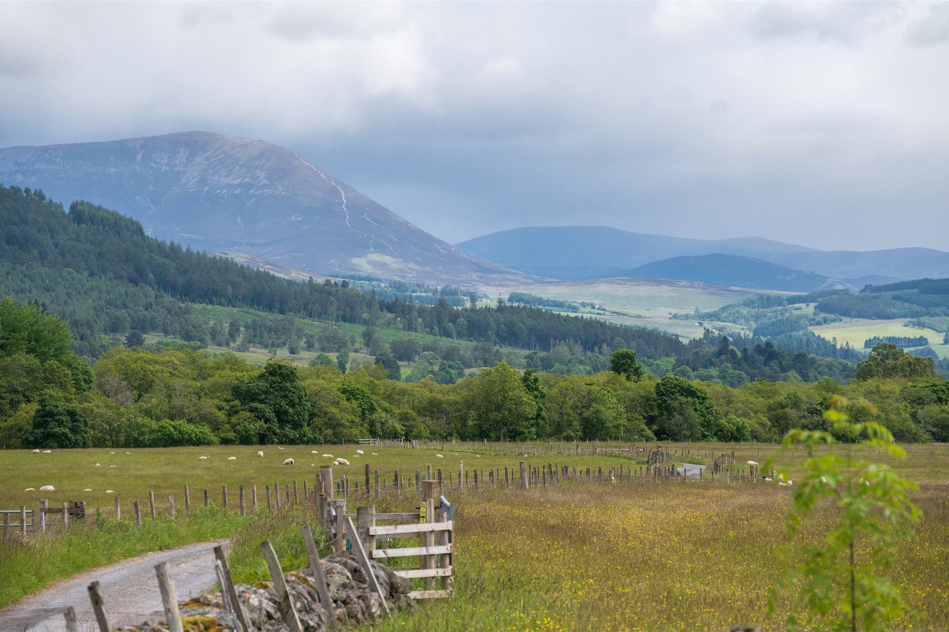 Old Struan Cottages, Calvine, Pitlochry, Perth and Kinross, PH18 5UB - Picture #17
