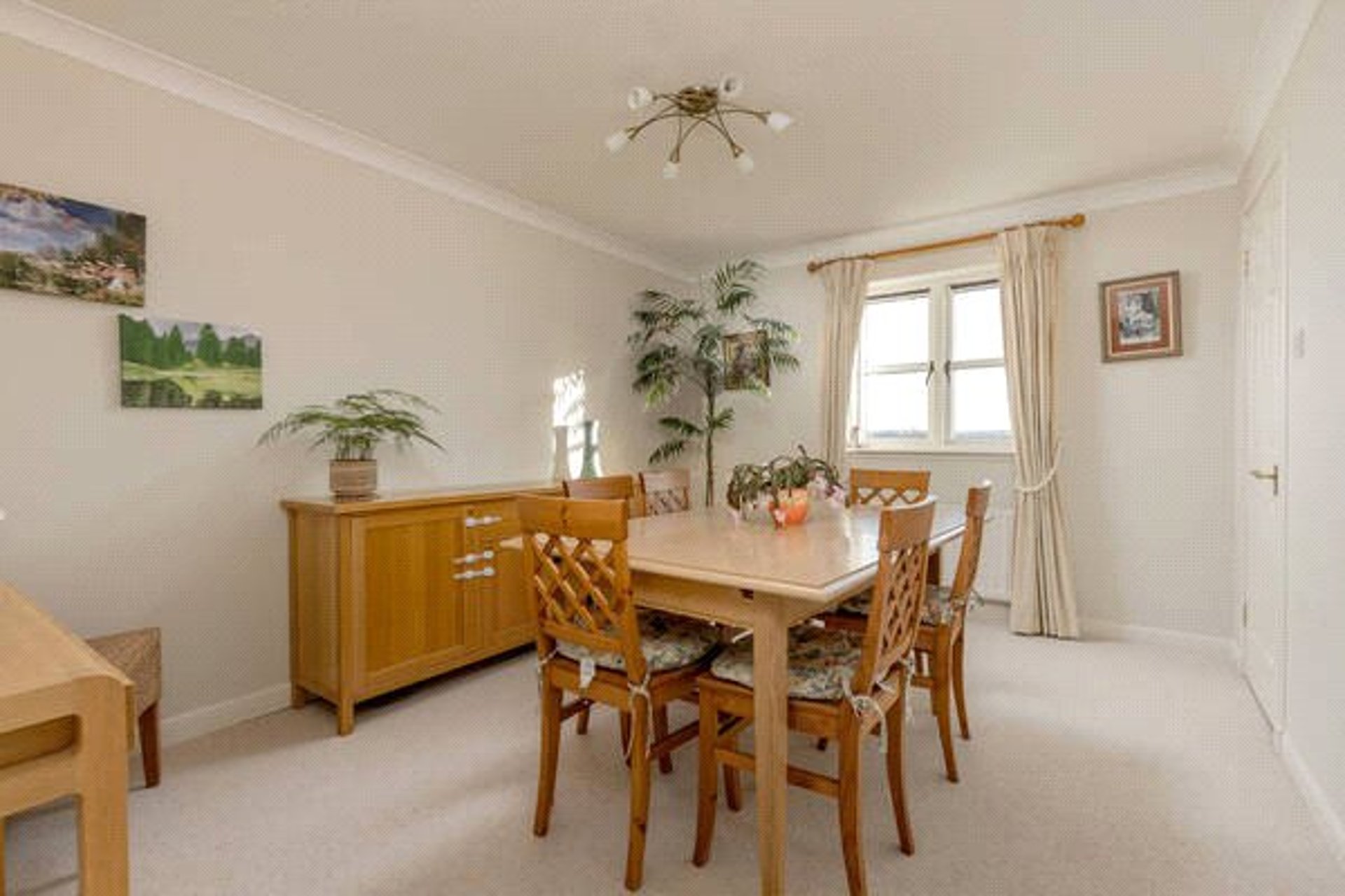 19/9 South Gray Street, Edinburgh, Midlothian, EH9 1TE - Picture #4