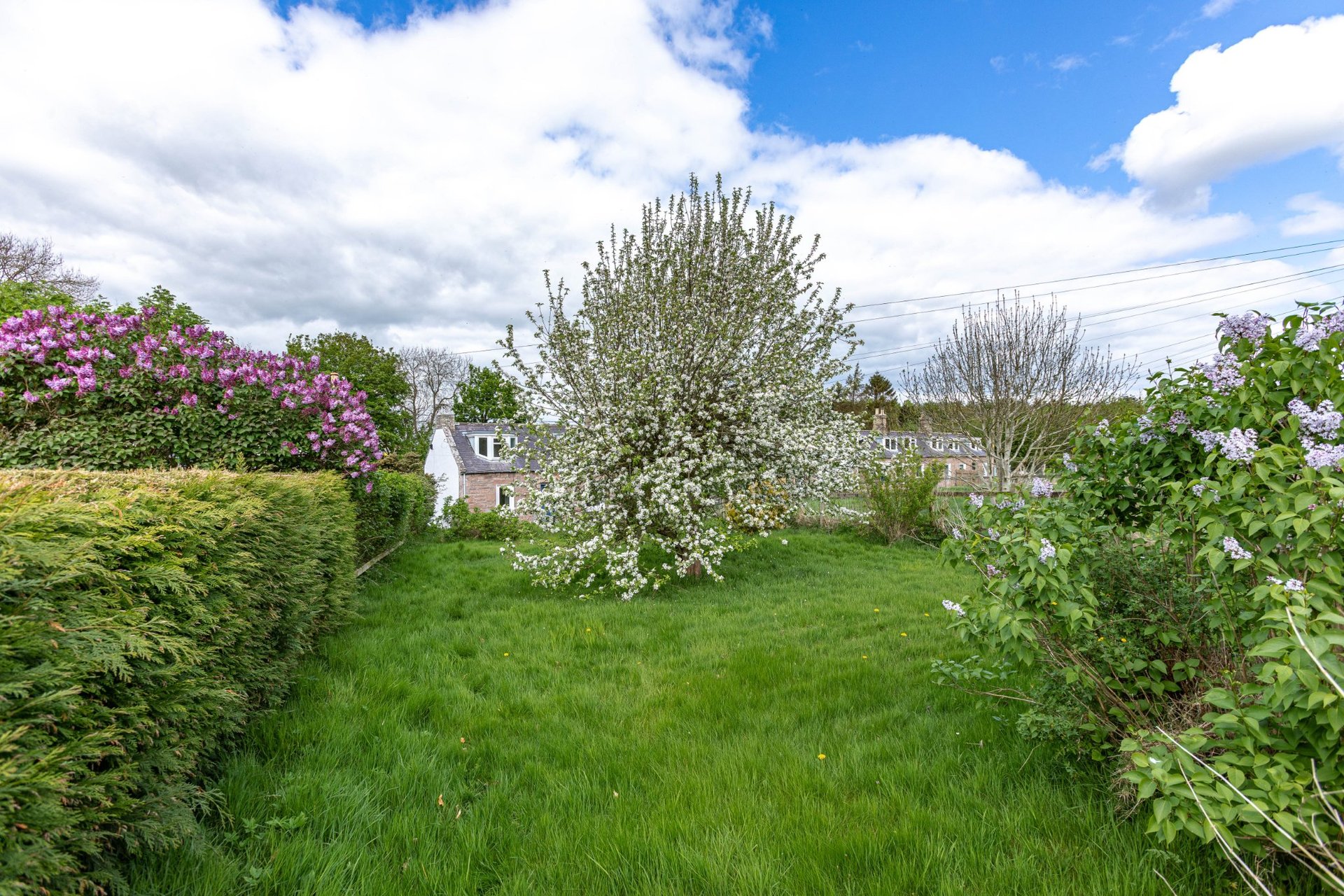 7 Rutherford Farm Cottage, Kelso, Scottish Borders, TD5 8NP - Picture #14