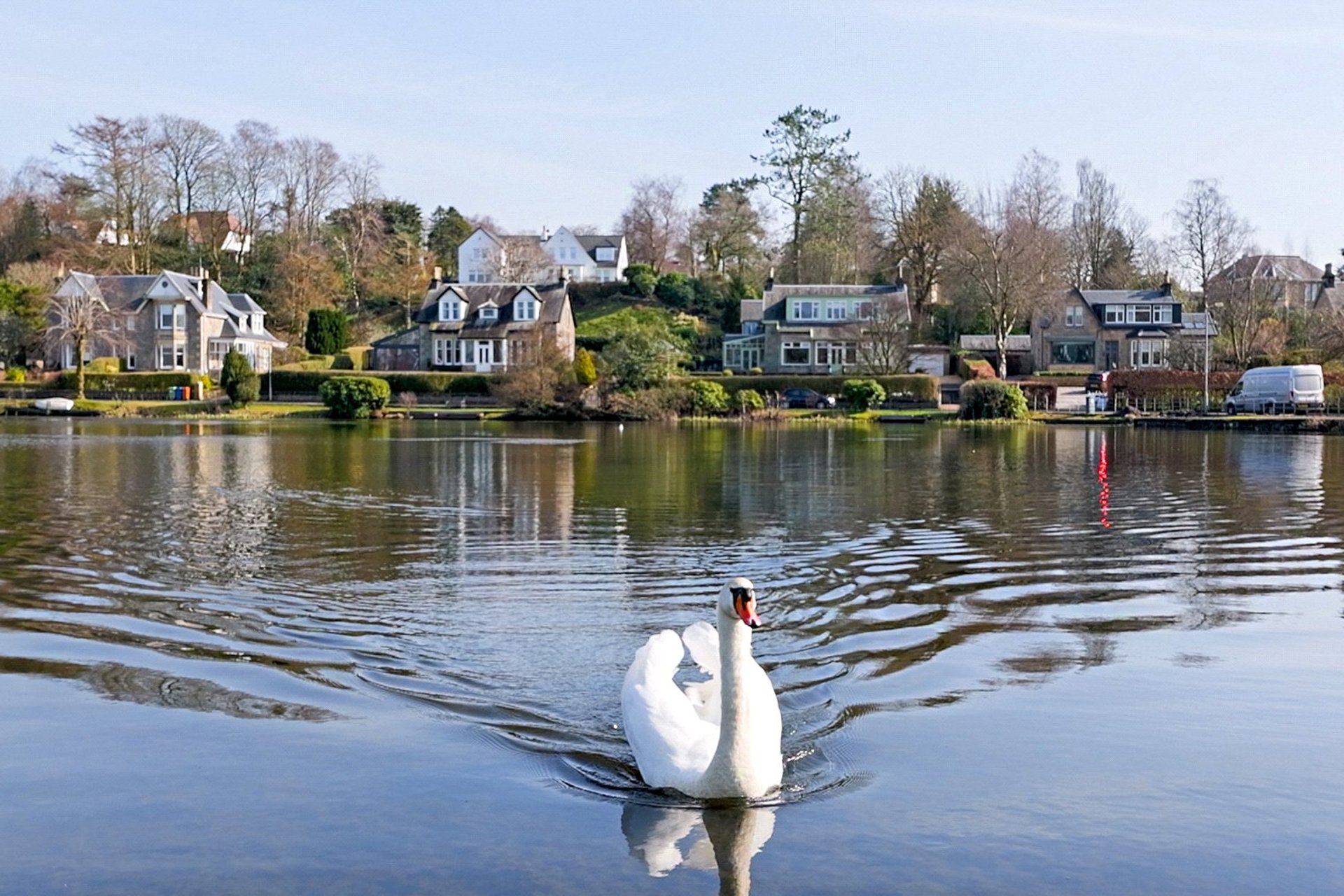 7 Tannoch Drive, Milngavie, G62 8BA - Picture #48