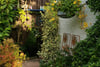 28 North Grange Road, Bearsden, Glasgow, G61 3AF - Picture #44