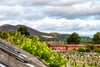 9b Park Crescent, Liberton, Edinburgh, EH16 6JD - Picture #32