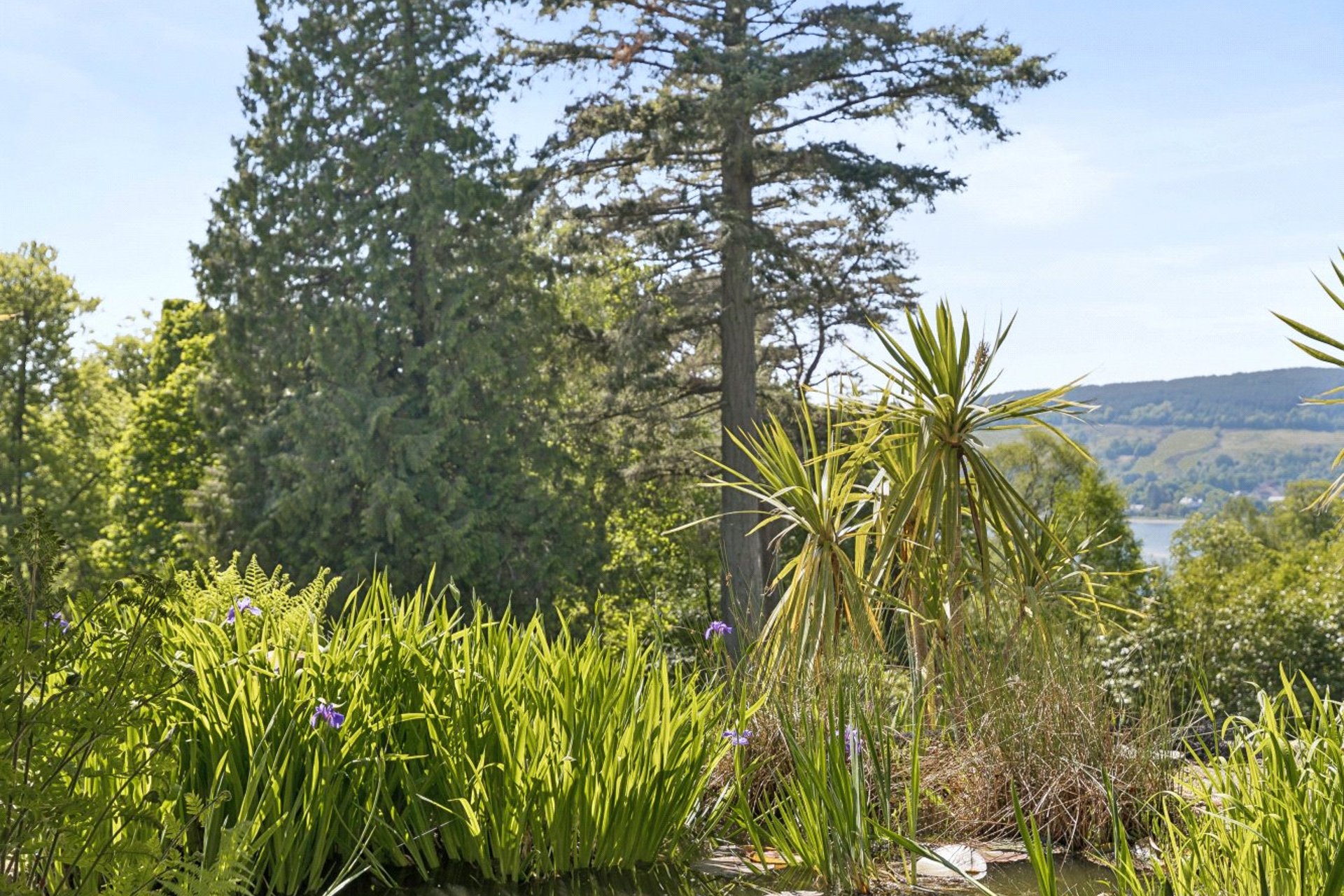 Tigh Geal, Station Road, Rhu, Helensburgh, Argyll and Bute, G84 8LW - Picture #6