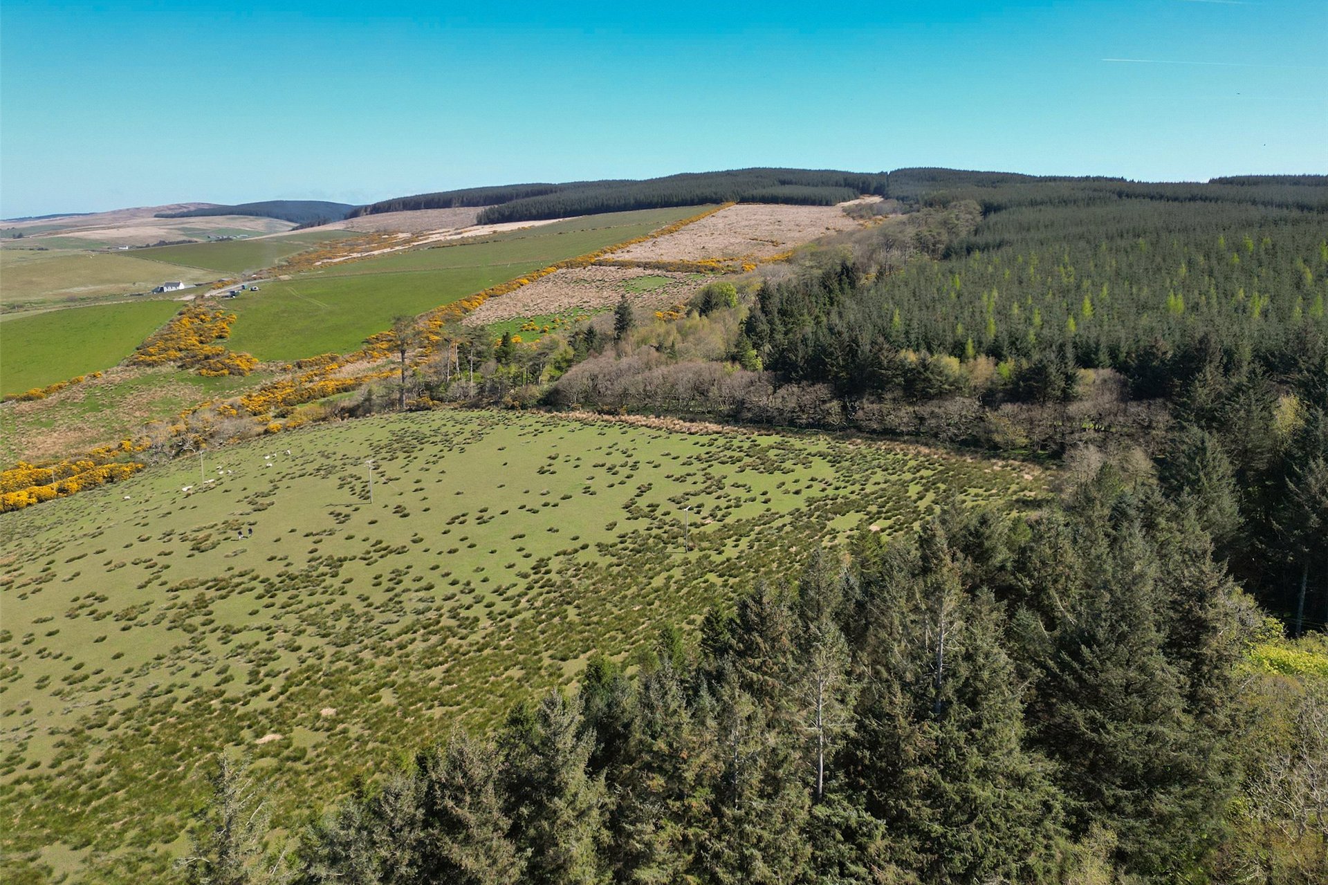 Glencreggan House, Glenbarr, Tarbert, Argyll, PA29 6UT - Picture #17