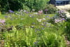 6 Renshaw Road, Bishopton, Renfrewshire, PA7 5HN - Picture #31