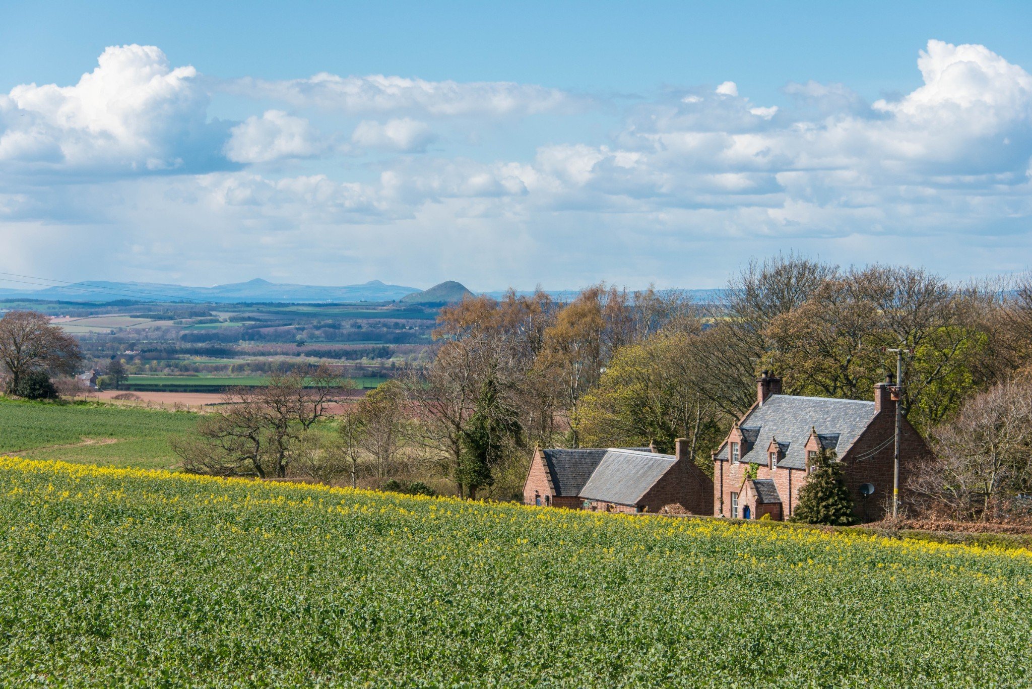 Spott Estate house with field in front