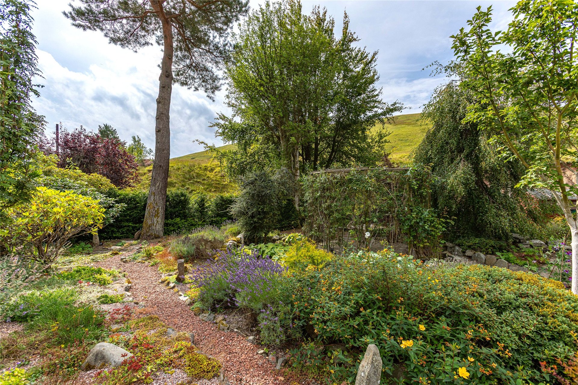 Mountbenger Toll, Selkirk, Scottish Borders, TD7 5NH - Picture #31