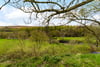 The Manse, 5 Manse Road, Colmonell, Girvan, South Ayrshire, KA26 0SA - Picture #6