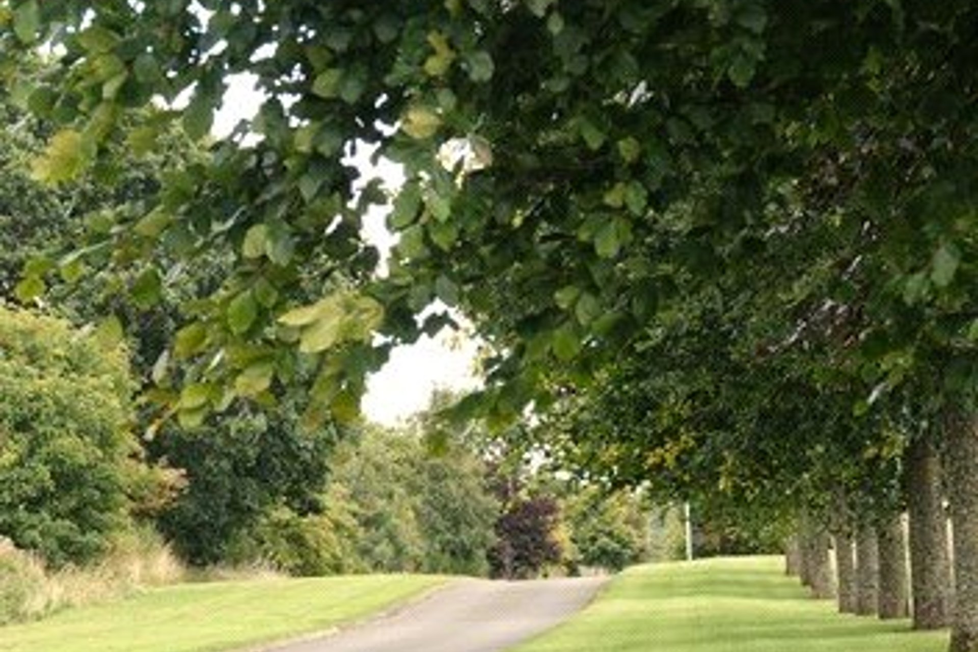 Plot 4.3, Clathymore - Plot 4.3, Clathymore Drive, By Perth, PH1 1NW - Picture #9