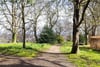 (gf), 10 Regent Terrace, Calton Hill, Edinburgh, EH7 5BN - Picture #21