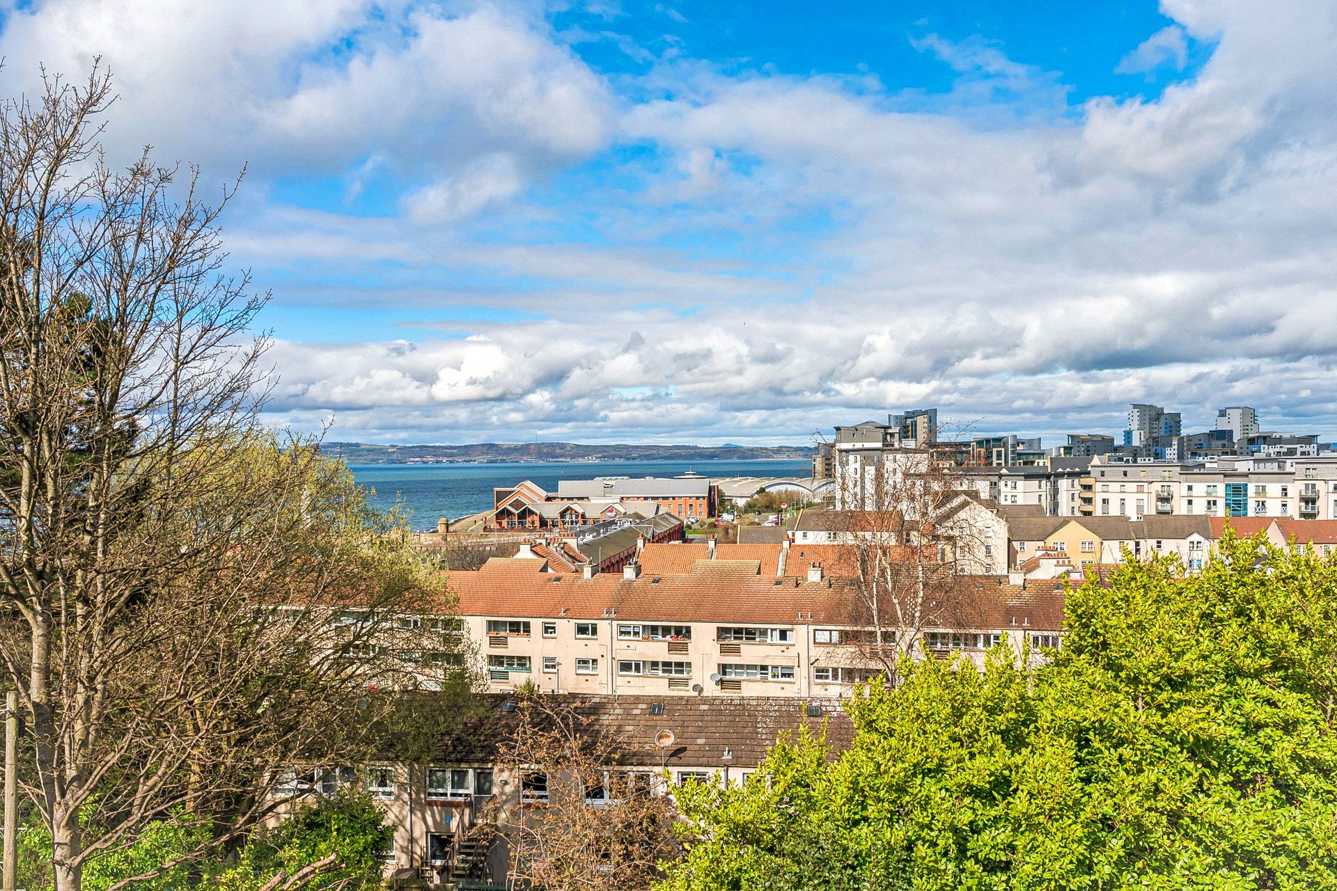 8A Park Road, Edinburgh, EH6 4LF - Picture #17