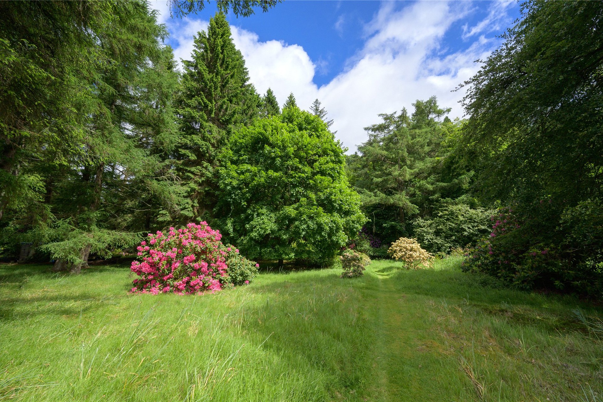 House On The Hill, Glen Road, Dunblane, Stirlingshire, FK15 0HR - Picture #22
