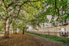 Flat 4, 10 Huntingdon Place, Broughton, Edinburgh, EH7 4AX - Picture #21